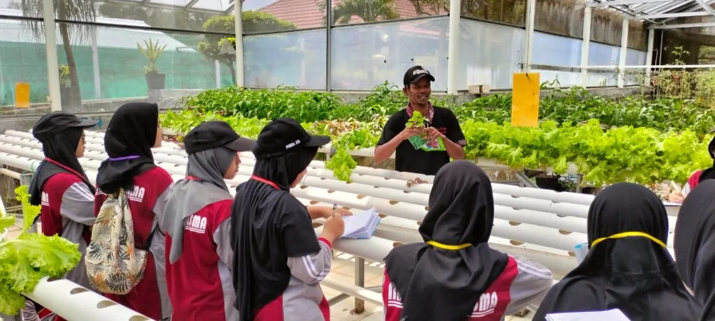 MAN 2 Sleman Ajak Siswa Belajar Pertanian dan Peternakan di Agrowisata Amanah