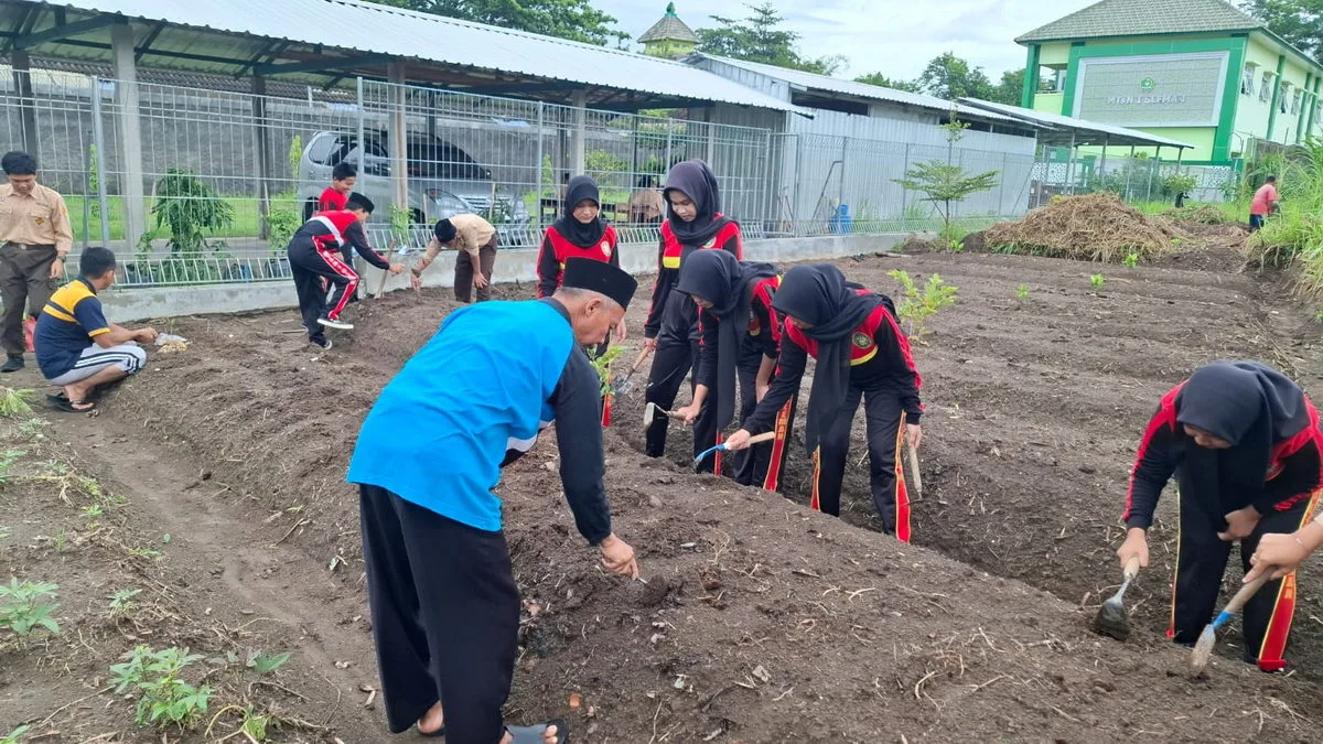 MTsN 1 Sleman Manfaatkan Lahan untuk Penghijauan dan Penanaman Toga