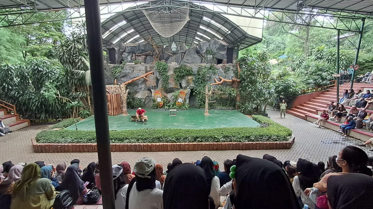 Gali Pengetahuan tentang Satwa: Siswa MTsN 1 Sleman di Taman Safari Prigen