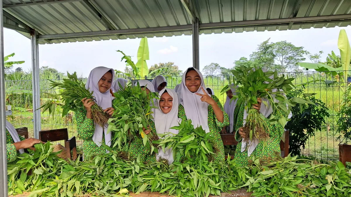 MTsN 1 Sleman Panen Hasil Proyek P5RA, Siswa Antusias Bawa Pulang Sayuran