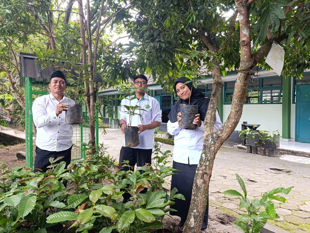 MTsN 2 Sleman Sukseskan Gerakan Tanam Sejuta Pohon Matoa