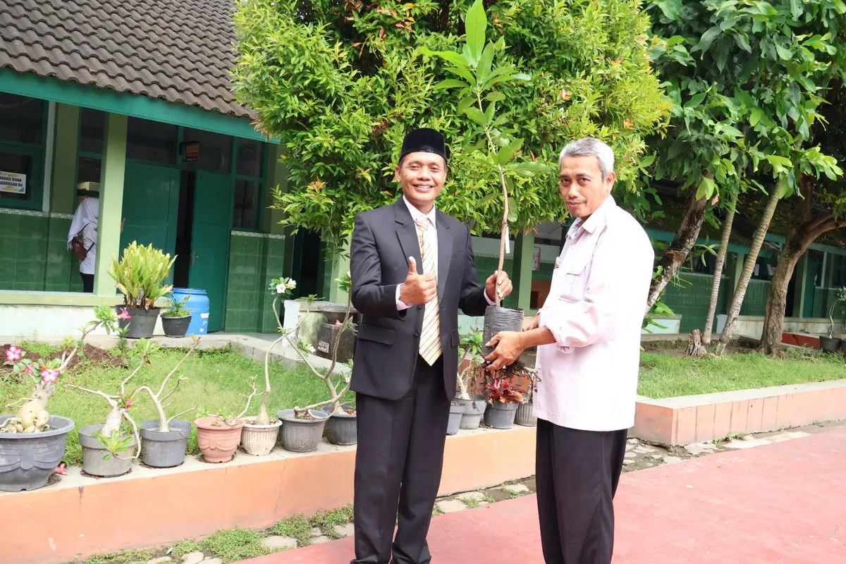 Dukung Ekoteologi, Pegawai MTsN 8 Sleman Serahkan Bibit Pohon Mangga Sebelum Terima SK PPPK