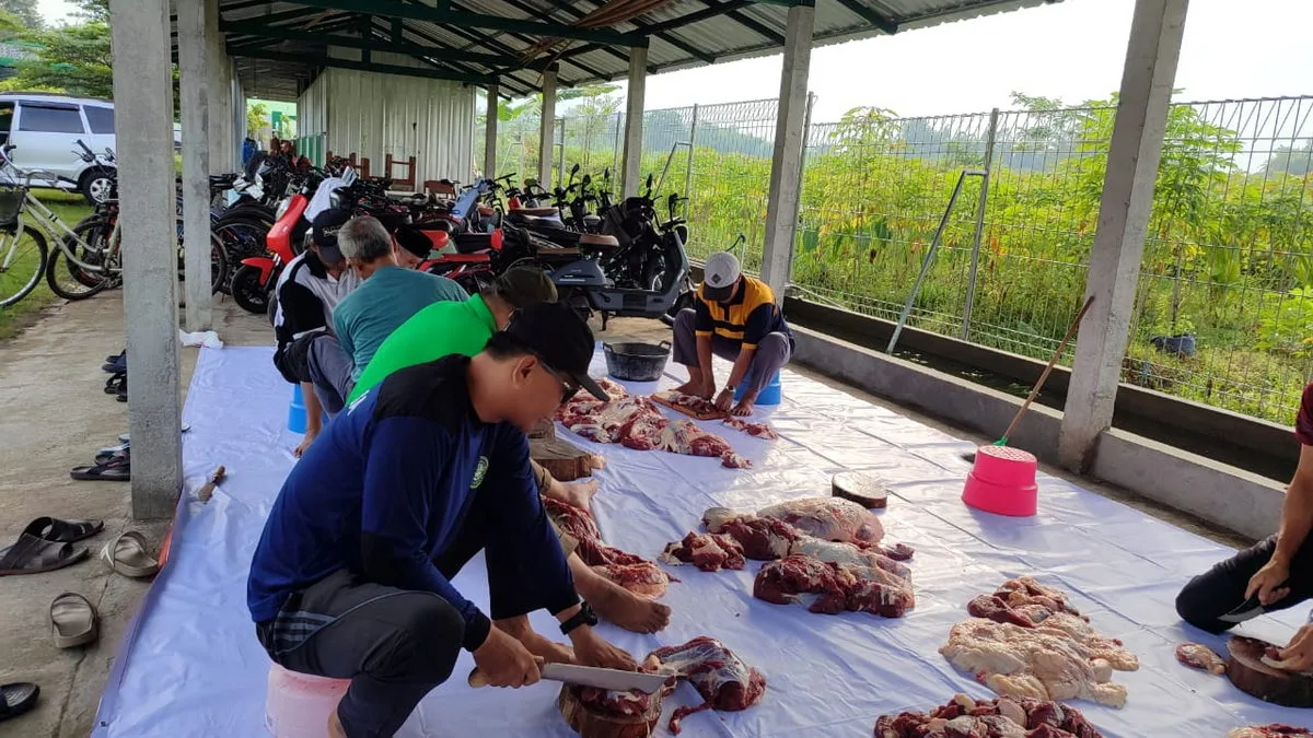 MTs Negeri 1 Sleman Rayakan Idul Adha dengan Semangat Berbagi dan Kreativitas