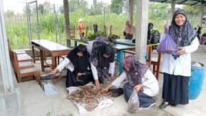 Panen Ubi Jalar Ketan, MTsN 1 Sleman Wujudkan Kemandirian dan Kepedulian Lingkungan