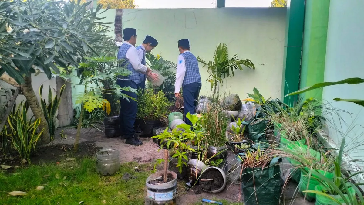 Sukseskan Adiwiyata Nasional, Siswa MTsN 9 Sleman Semangat Bersih-bersih dan Tata Pot