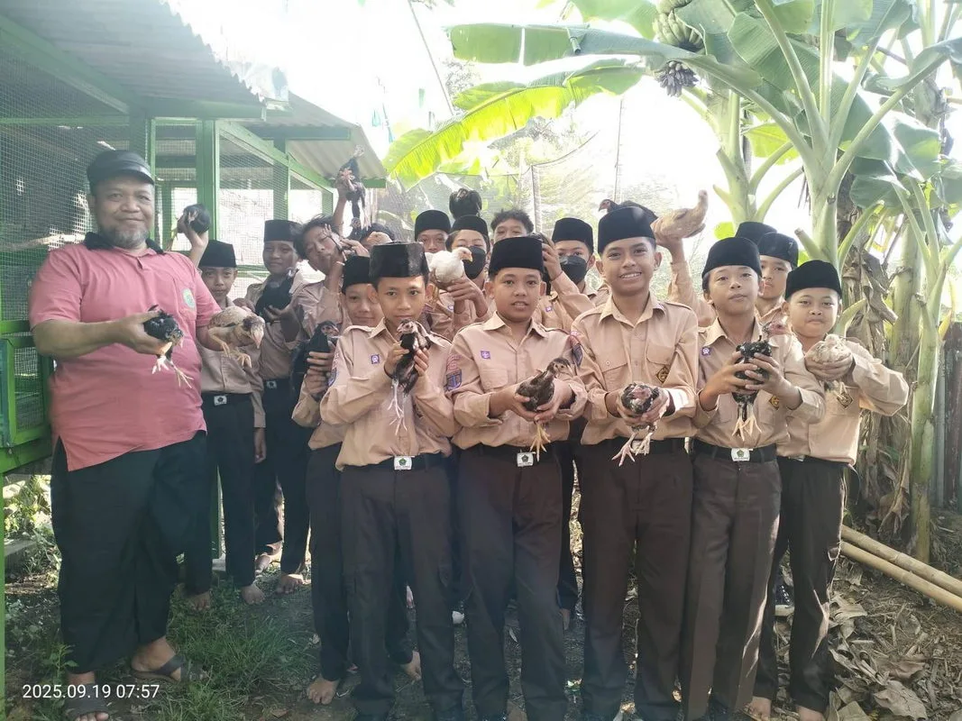 Madrasah Hijau dan Mandiri, MTsN 1 Sleman Budidayakan Ayam Buras