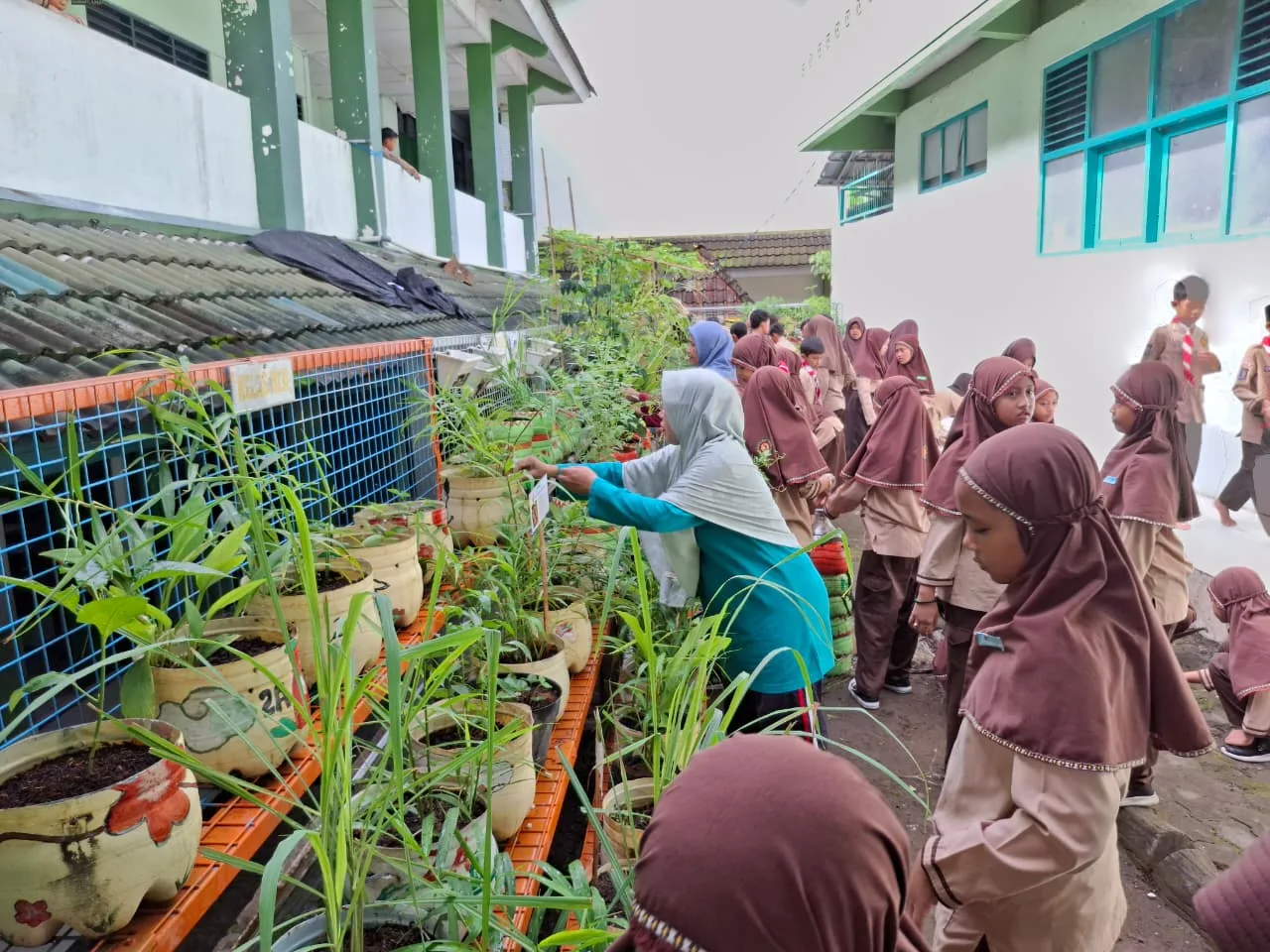 Murid Menanam, Guru Membimbing: Hijaukan Madrasah Kita!