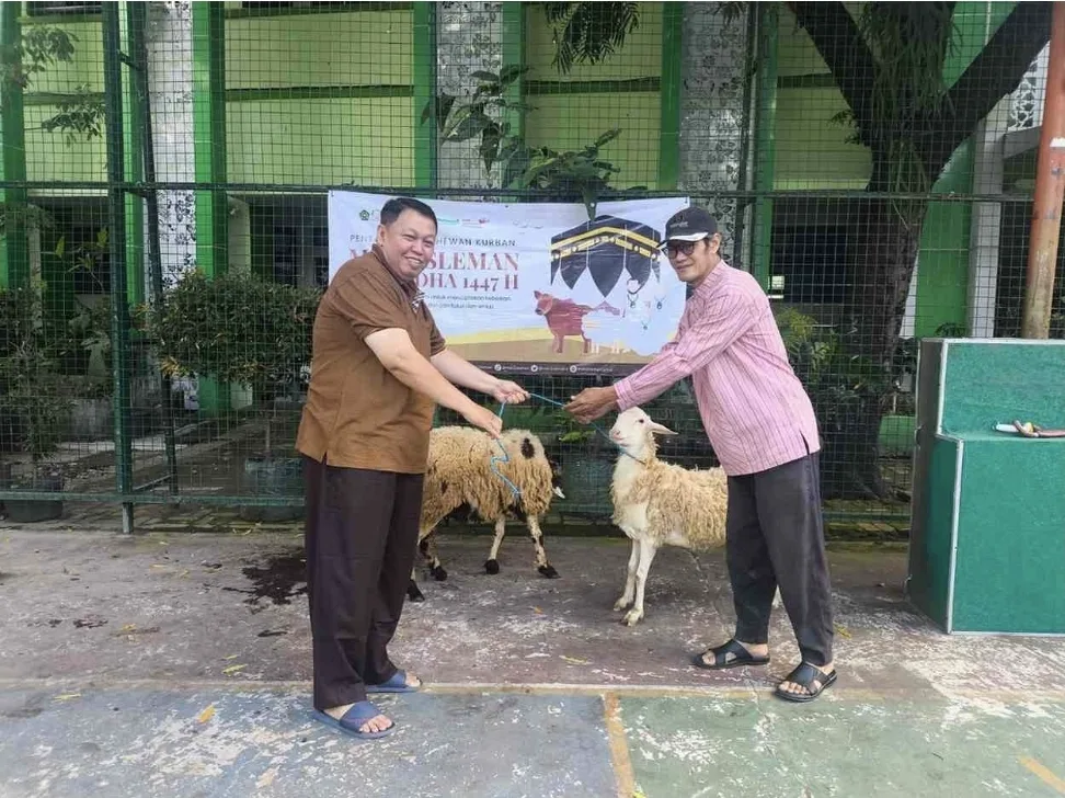 Iduladha Penuh Makna, MAN 2 Sleman Salurkan 2 Ekor Kambing Kurban