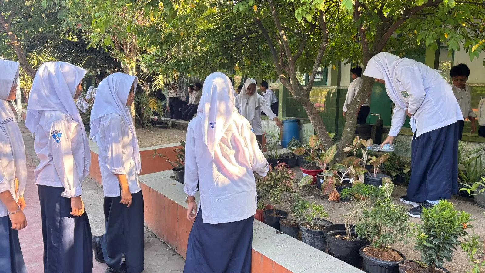 Gerakan Ekoteologi, Siswa MTsN 8 Sleman Hijaukan Lingkungan Madrasah